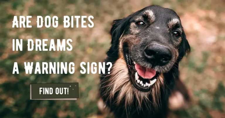 Dreaming of Dogs Biting You? Here’s What Your Mind Is Trying to Tell You!