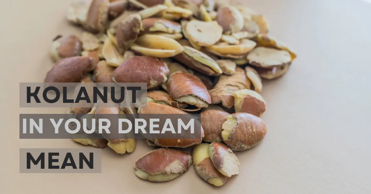 seeing kolanut in dream
